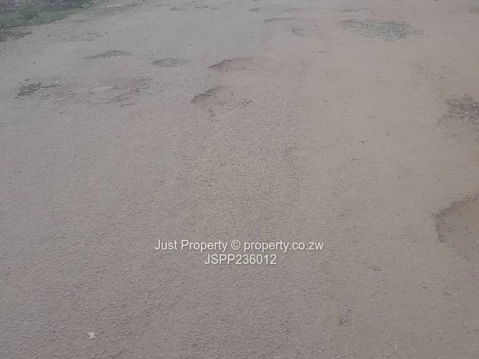 Msasa Park the Castle