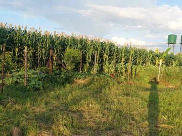 Farm & Agricultural Land