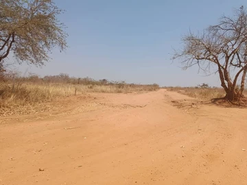 Farm & Agricultural Land