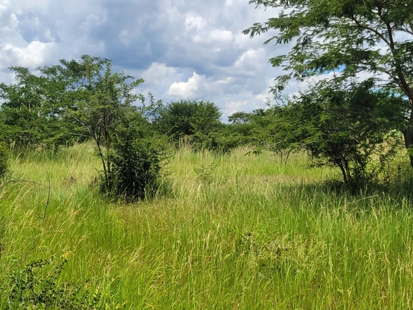 Land
