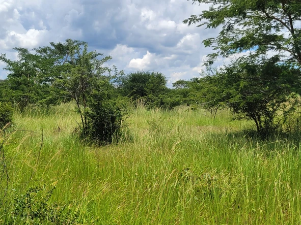 Land