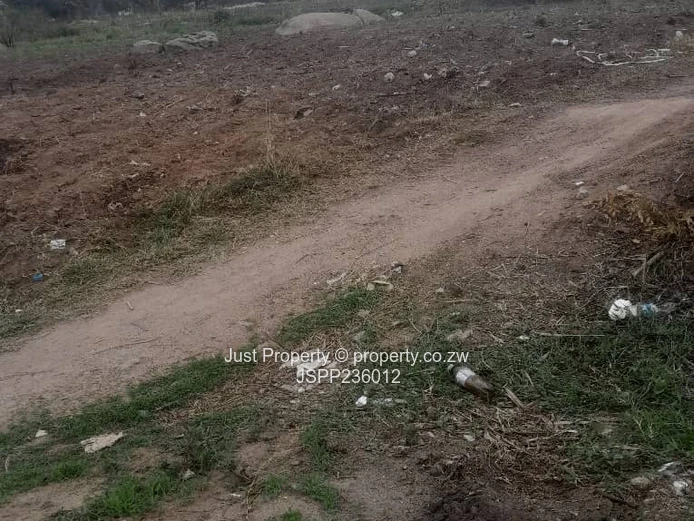 Msasa Park the Castle