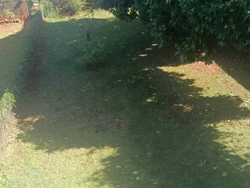 3 Bedroom Flat & Apartment