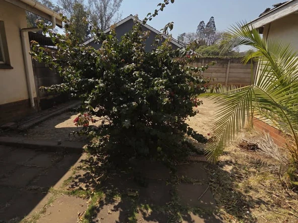 2 Bedroom Garden Flat