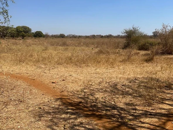 Farm & Agricultural Land
