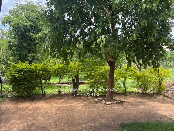 Chinhoyi Ruvimbo Park