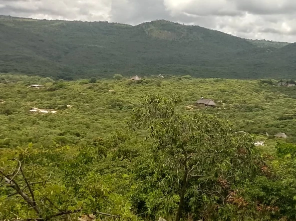 Farm & Agricultural Land