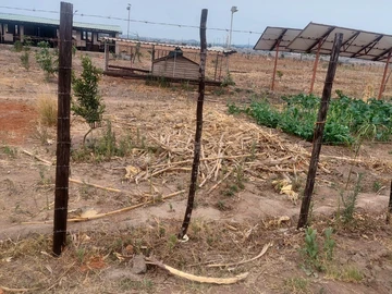 Farm & Agricultural Land