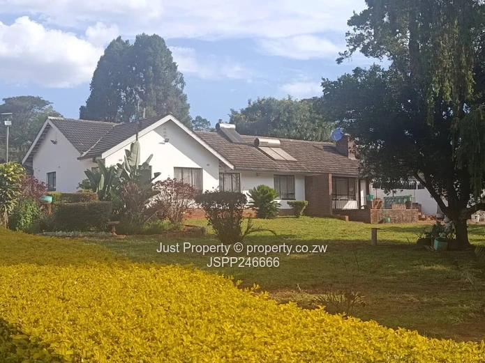 Prime Road Frontage Property