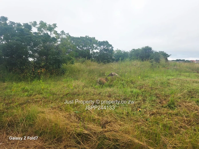 Manresa 2,169 m² Stand on Tarred Road – Sloping, Treed (Sole Mandate)