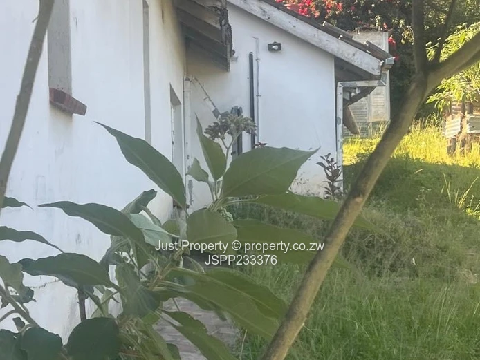 Renovator’s Delight