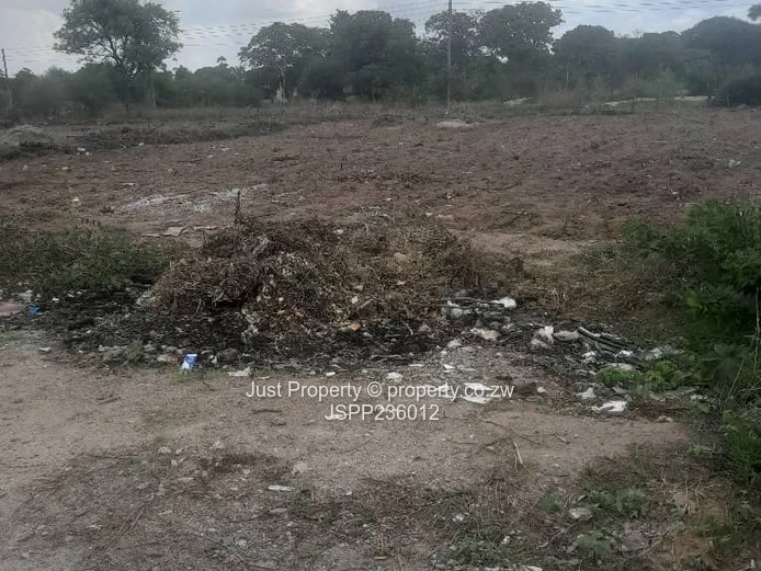 Msasa Park the Castle