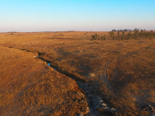 Farm & Agricultural Land