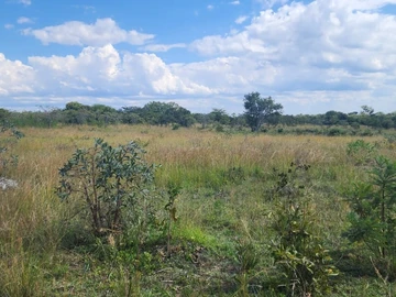 Land