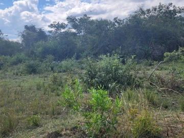 Land