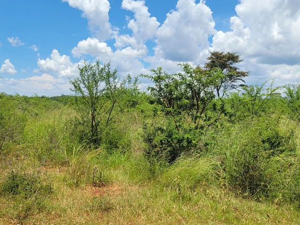 Land