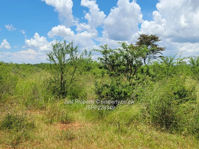 **Prime 2-10  Hectares of Farm Land for Sale along Lower Gweru Road ** (Sole Mandate)