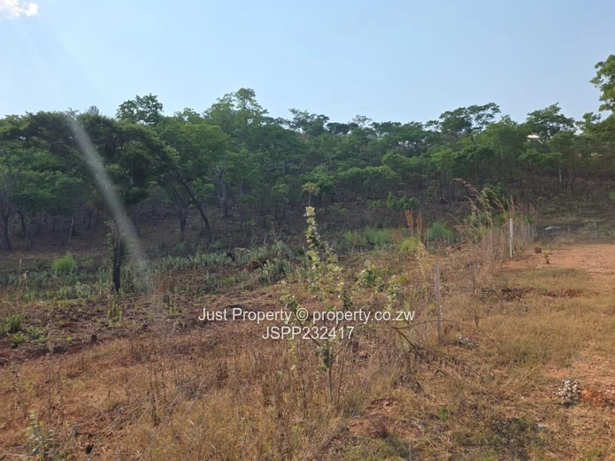 8200 m² Carrick Creagh — Subdivision Potential & Tarred Road