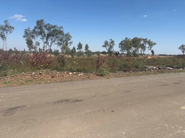 Stands & Residential Land