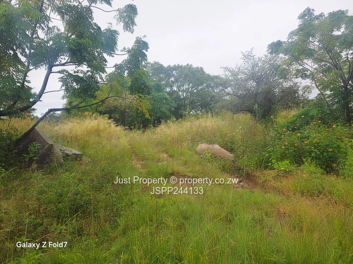 Manresa 2,169 m² Stand on Tarred Road – Sloping, Treed (Sole Mandate)