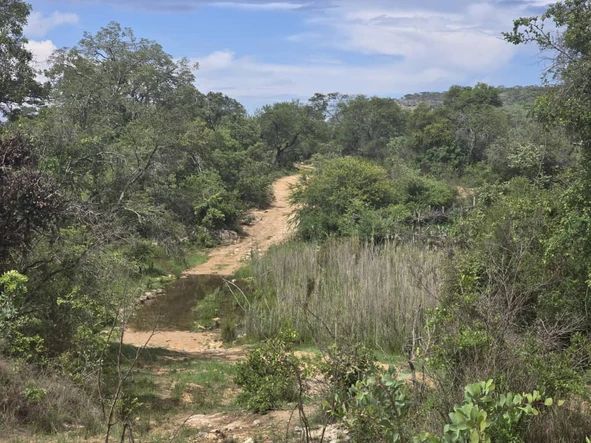 Farm & Agricultural Land