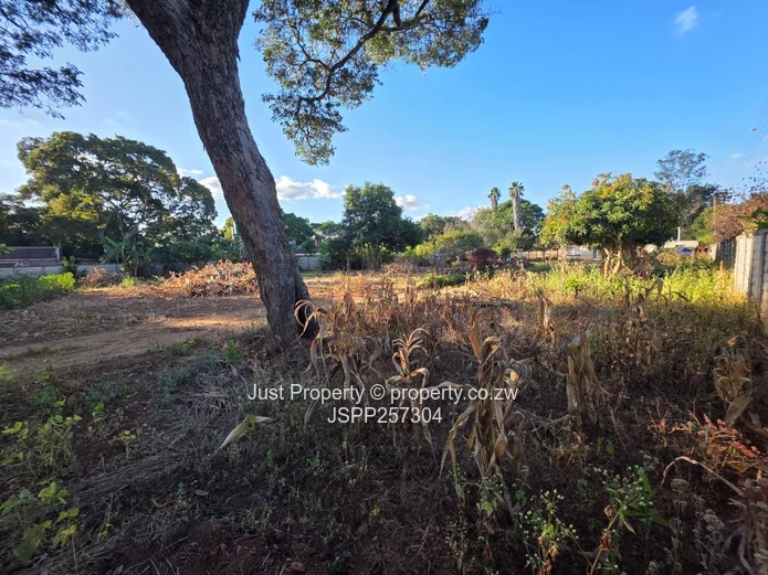 Spacious 2825 m² Stand in Quinnington — Tarred Roads