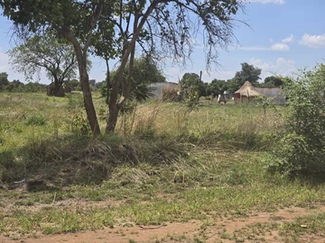 Shop & Retail Property