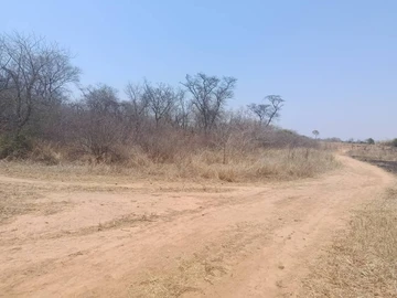 Farm & Agricultural Land