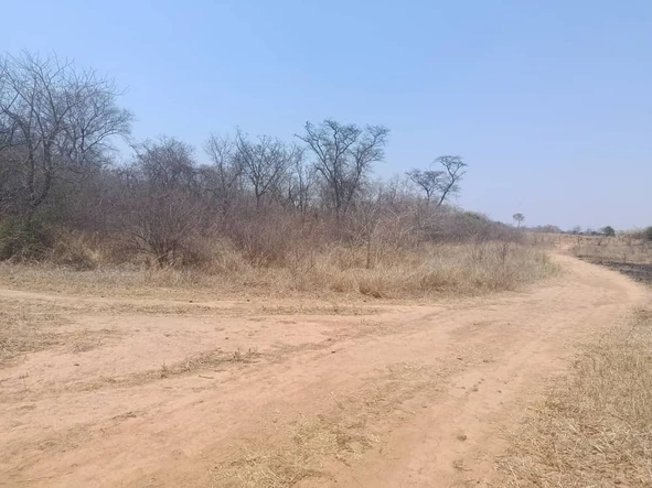 Farm & Agricultural Land