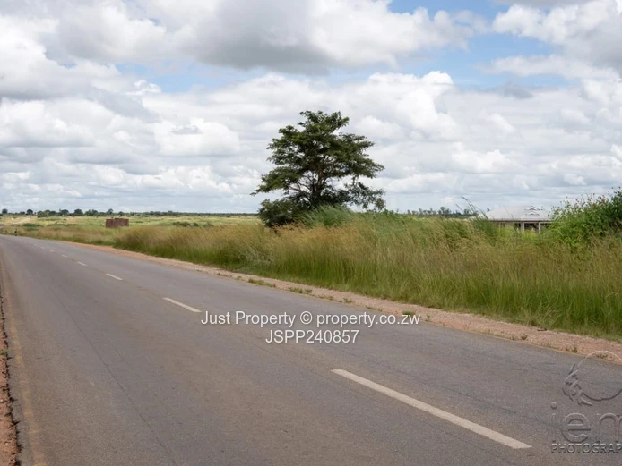 Fully Serviced Norton Stand For Sale