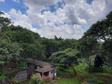 7 Bedroom House