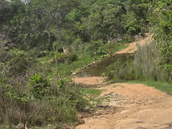 Farm & Agricultural Land