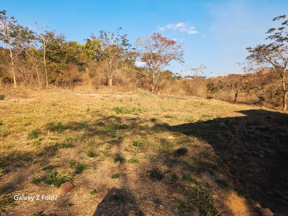 Farm & Agricultural Land