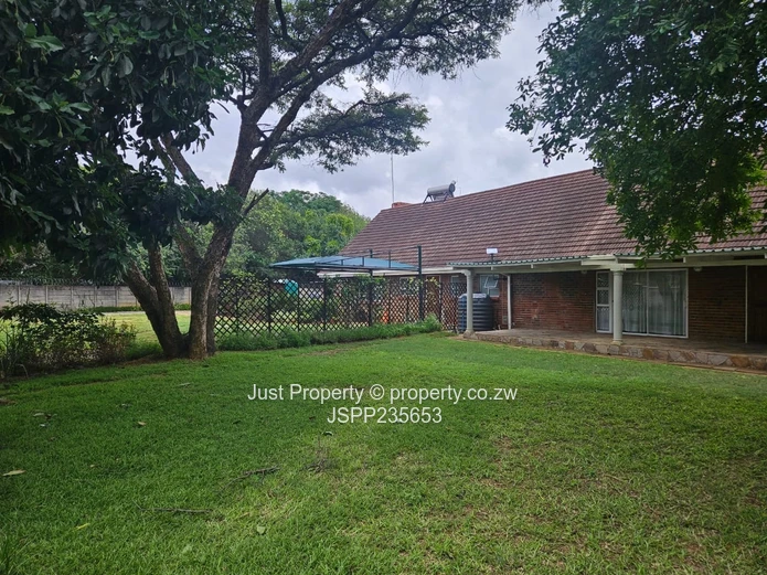 Great Investment Opportunity 