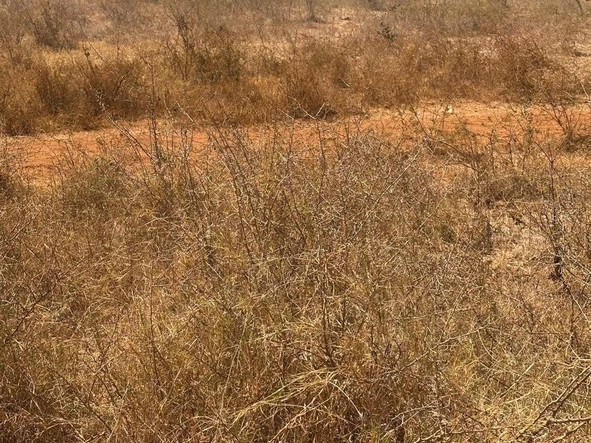 Farm & Agricultural Land