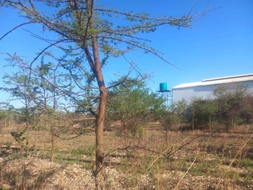 Commercial & Industrial Land