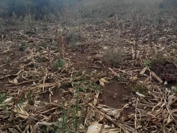 Farm & Agricultural Land