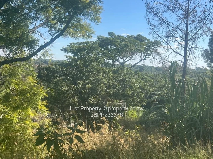 Renovator’s Delight