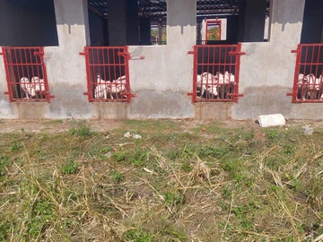 Farm & Agricultural Land