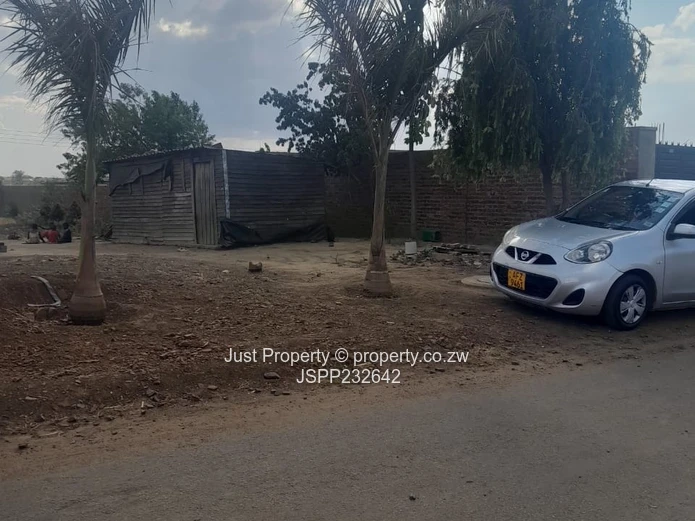 Spacious 1,630 m² Stand — Roadside Palm Trees, Haydon Park