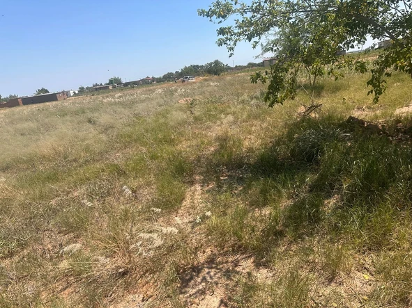 Land