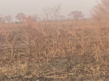 Farm & Agricultural Land