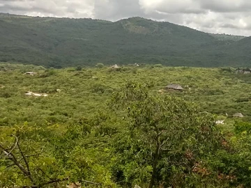 Farm & Agricultural Land