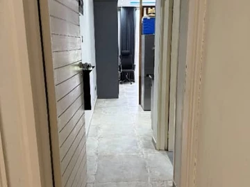 Flat & Apartment