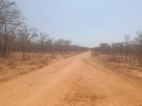 Farm & Agricultural Land