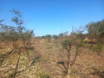 Commercial & Industrial Land