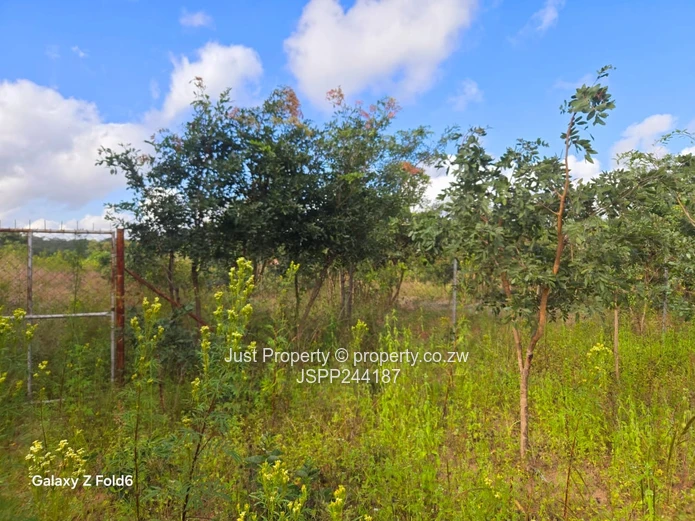 Fenced 2300 m² Stand in Marondera — Gravel Road Access (Sole Mandate)