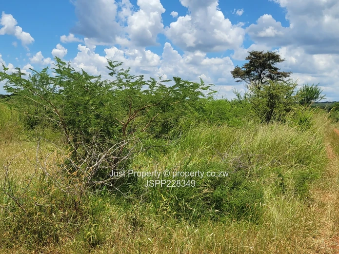 **Prime 2-10  Hectares of Farm Land for Sale along Lower Gweru Road ** (Sole Mandate)