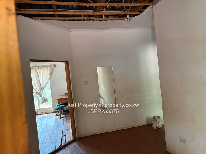 Renovator’s Delight