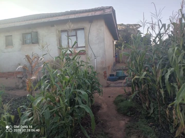 6 Bedroom House